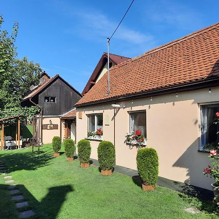 Villa Casa Joy Rîşnov Esterno foto