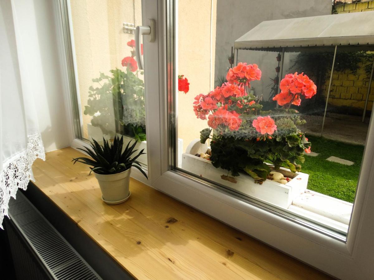 Villa Casa Joy Rîşnov Esterno foto