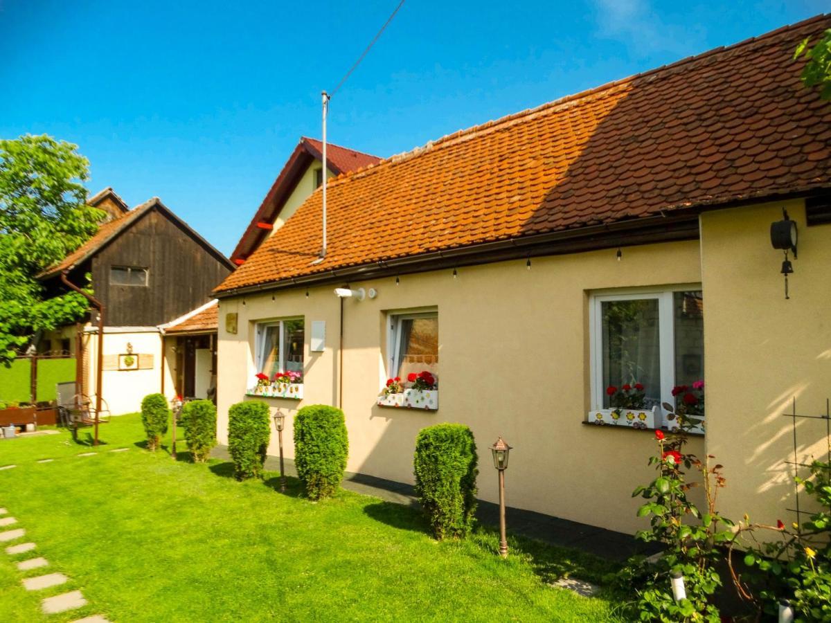 Villa Casa Joy Rîşnov Esterno foto