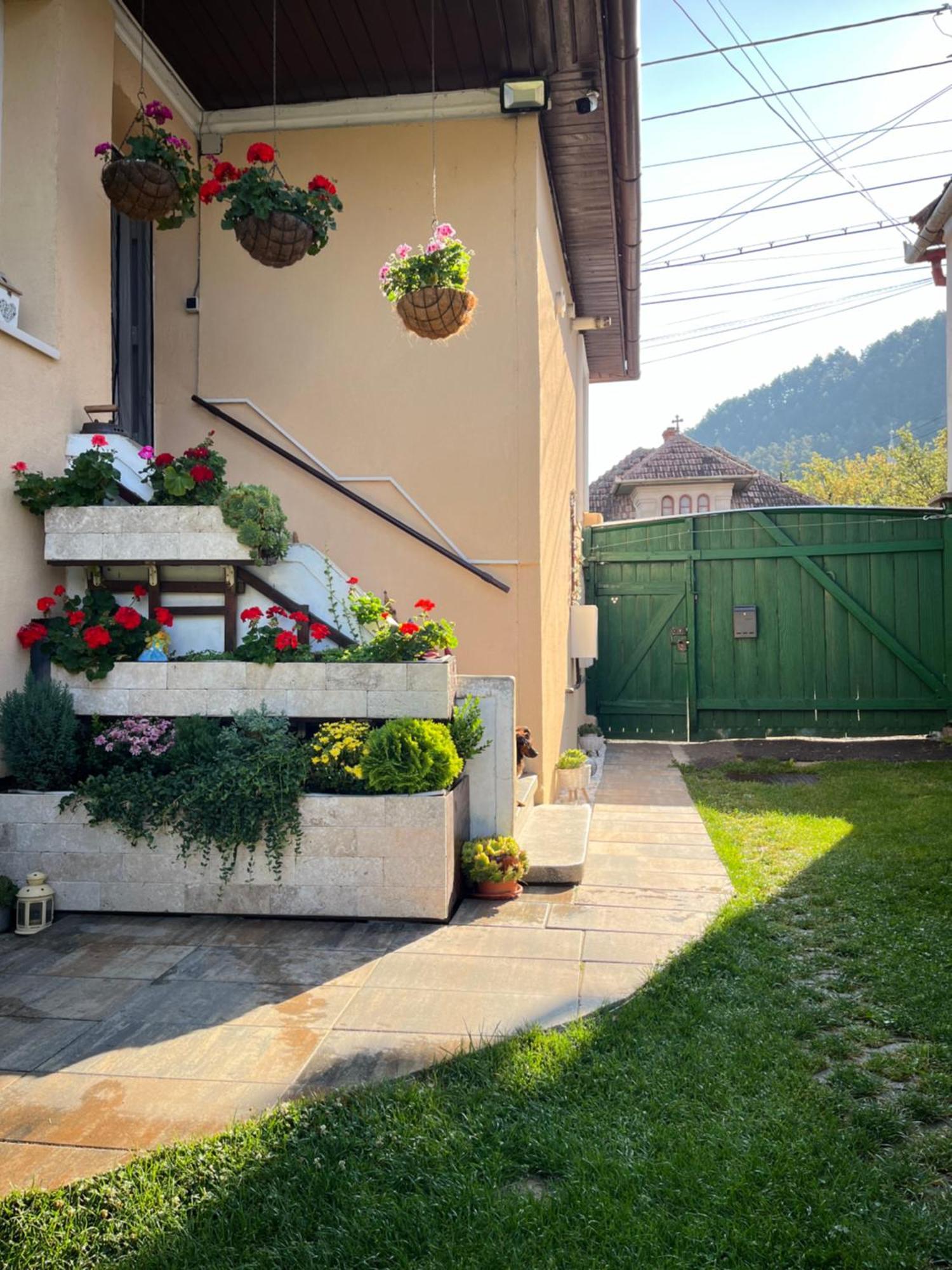 Villa Casa Joy Rîşnov Esterno foto