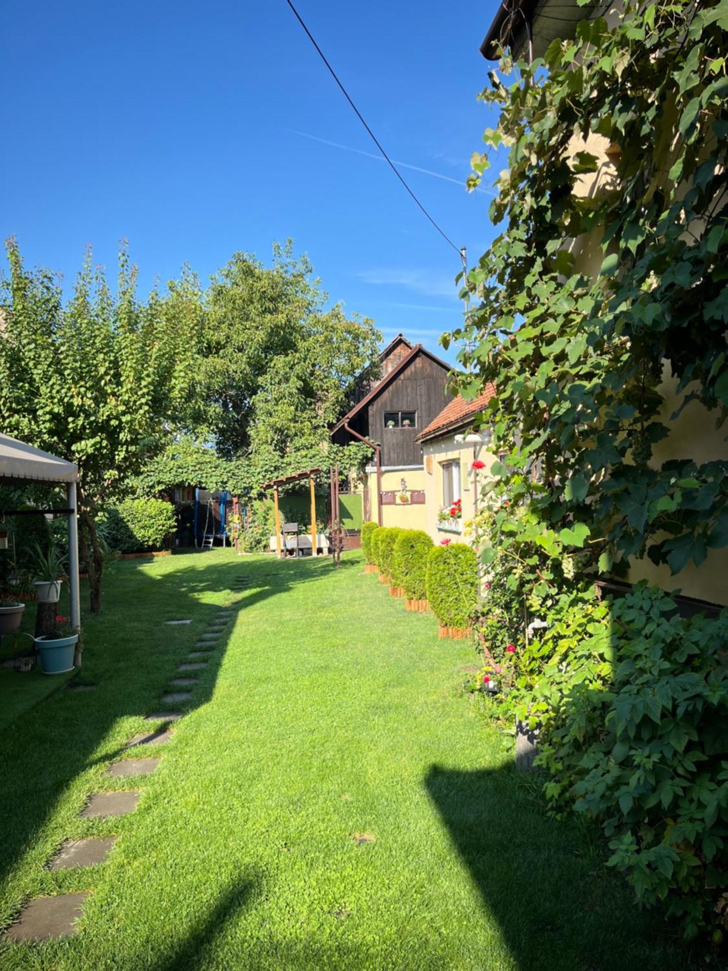 Villa Casa Joy Rîşnov Esterno foto